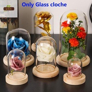 QIUJU Glass cloche Home Decor Terrarium Tabletop Glass Vase Jar Transparent Bottle Flower Storage box