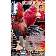 Telur fertil ayam pakhoy trah maneedaeng / COD