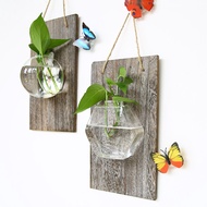 Wall Hanging Flowerpot Wall Small Fresh Art Green Dill Hydroponic Plant Container Decoration Wall De
