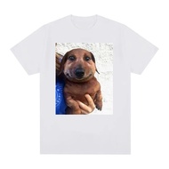 T-shirt Meme Anjing Lucu Spring Dingo Ahh 2026, Sesuai untuk Semua Orang, Ceria dan Penuh Humor