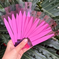 (Combo of 2 pieces) Battery glue for iPhone 5 —> 7Plus