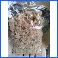 ✧ ✟ ▬ Sphagnum Peat Moss (100g)