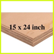 ♞15 x 24 inches pre-cut premium marine plywood