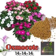 OSMOCOTE 14-14-14 Fertilizer | Triple 14 | Flowering Plants Fertilizer | Pampabulaklak