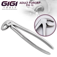 GIGI Tools Tooth Extracting Forceps FIG 13 Adult Forceps For Professional Dentists Stainless CE