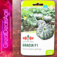 GRACIA F1 HYBRID KALABASA OR SQUASH SEEDS (30 SEEDS) EAST WEST SEEDS