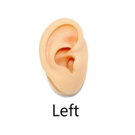 1 Buah Model Telinga Manusia Palsu Display Alat Bantu Mengajar Silikon Untuk Display Perhiasan Antin