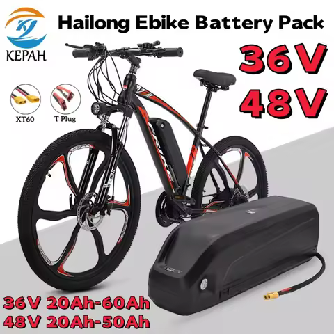 New 36V 48V Battery Hailong Battery Polyester DP-9, BMS 18650 Cell, Lithium-Ion 36V 48V Battery Pack