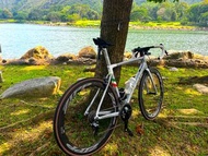 Colnago V3Rs 碳纖維公路車ut電子