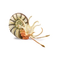 CollectA 88902 Prehistoric Pleuroceras Ammonite Model Toy