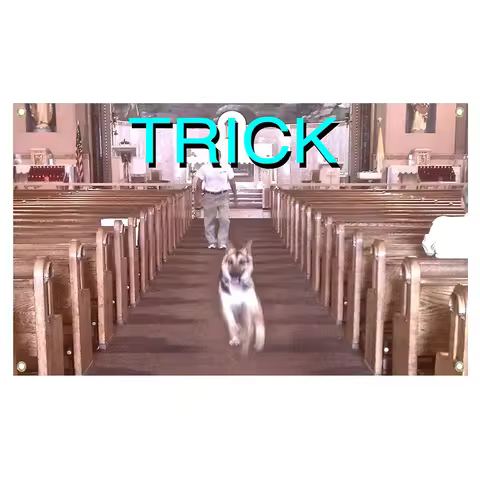 Alex G Trick album cover flag 3x5fts 2x3fts wall art poster, indoor and outdoor decoration, selected