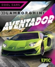 Lamborghini Aventador Kaitlyn Duling