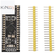 STM32F411 Development Board, STM32F411CEU6 STM32F4 Learning Board, Support for MicroPython/ Programm