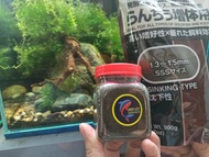 Cám HIKARI nâu - thức ăn Hikari nâu cao cấp giúp tăng size cá cầu vồng cá vàng Koi cá đĩa pleco.. -