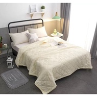 Thin quilt (queen size)
