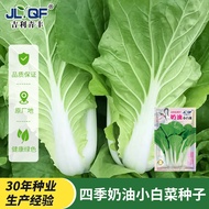 [Local Growing] Cream Cabbage Seeds Seeds Four Seasons Cabbage Vegetables Vegetables Vegetable Seeds