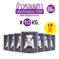 ข้าวกล้อง ไรซ์เบอรี่ riceberry  GAP. บรรจุ  10 กก. /ลัง ตราหอมผกา) (สินค้าอัดสุญญากาศ 1 กก. จำนวน 10 แพ็ค) สีจะไม่ดำมาก ข้าวสาร ข้าวหอม