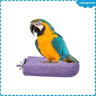 [SzyongxcbMY] Pet Parrot Perch Bird Perch Stand Bird Stand for Finches Lovebirds Parakeets violet