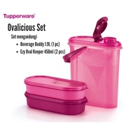 Tupperware Ovalicious Set Pink Beverage Buddy Oval Keeper