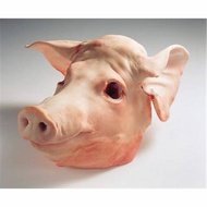 Kepala babi mentah utuh segar / fresh pig head (daging babi fresh)