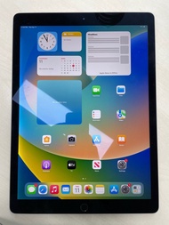 Apple iPad Pro 12.9 gen 2 第二代256gb Wi-Fi  （IOS 17.2) 大平板 有中文
