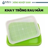 Smart Sprout Growing Tray 32x25x5cm – Safe, Convenient Virgin Plastic & Clean