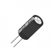 Electrolytic Capacitor 16V (220uF)