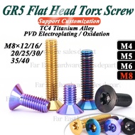GR5 Bolts Titanium Flat Head Bolts Torx Screw Countersunk Screw License Plate Screw Oil Cup Cover Sc