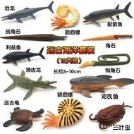 Educational Fun Children's Toys Ancient Ocean Odd Shrimp Parrot Snail Ammonite Model Ancient Angle S