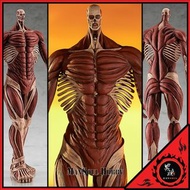 [日版 質保] 阿爾敏 超大型巨人 進擊的巨人 L Size POP UP PARADE Attack on Titan Figure