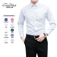 2026 Professional Business Shirt Male Student Graduation Photo Formal Wear Slim-fit Long-sleeved Shi