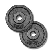 Cast Iron Weight Plate - 1 pairs (2.5kg / 5kg / 10kg)