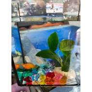Aquarium Fish Tank Size 2*4*6