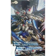 MG strike freedom dragon momoko + bonus wing effect