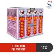 Teck Aun Chi Kit Pills 德安风痧济急丸 2.25g x 12 sachets
