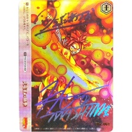 Weiss Schwarz Collection Cards FAIRY TAIL S120-072A DIY High Quality Self Made Game Anime Cards Toy