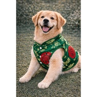 Fashionable green Long Phung shirt CNY for pets, Clothes CNY for dogs and cats, Clothes CNY LaLiPetf