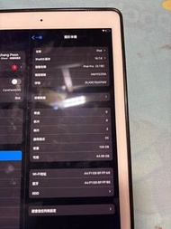 IPad Pro  9.7 吋128 gb