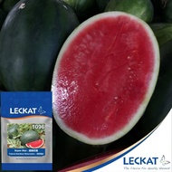 HSK [10pc] BIJI BENIH BUAH TEMBIKAI MERAH TANPA BIJI TRIPLOID SEEDLESS WATERMELON SEED SUPER STAR 10