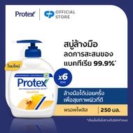 โพรเทคส์ พรอพโพลิส 250 มล. รวม 6 ขวด (สบู่เหลว สบู่ล้างมือ สบู่เหลวล้างมือ) Protex Propolis 250ml To