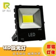 LED Flood Light 100W Outdoor Waterproof Flood Light Stadium Light 5054 Flood Light 50W Color COB Flo