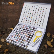 [PETSOLA] Gemstones Treasure Collection Kit for Kids Natural Mineral Specimen Rocks Science Geology 