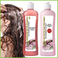 Hair Growth Shampoo and Conditioner Shampoo Onion Biotin Y Rosemary Onion Biotin and Rosemary Shampo