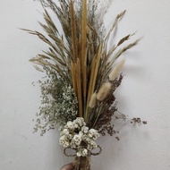 Buket Lagurus Dried Flower Bunga Kering(Buket Ilalang Lagurus) -