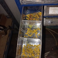 Capacitor mlcc 100 10pf 10 pf multilayer capacitor original multi layer capacitor Fajar electro 2