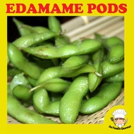 Frozen Edamame pods 500g ready to eat 毛豆