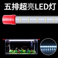 Lampu akuarium LED, lampu akuarium, lampu akuarium rumput putih tulen, lampu tenggelam kalis air kec