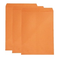 100C Matte gold A4 envelope