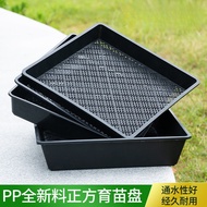 Thickened Sprout Seedling Tray Acupoint Tray Sprout Seedling Tray Succulent Seedling Pot Germinated 
