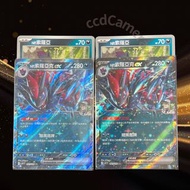 【N 的索羅亞 & 索羅亞克ex RR 繁中】 PTCG 寶可夢卡牌 比卡超Pikachu